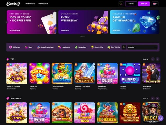 Exploring Casiny Casino Payment Methods 19